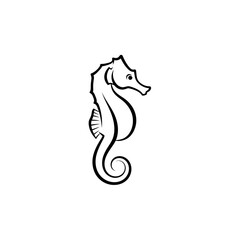 Fototapeta premium Elegant Black and White Seahorse Outline Illustration.