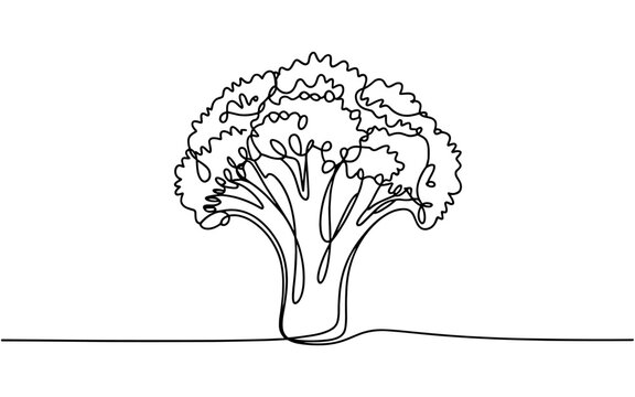 Minimalist one line art of a broccoli, representing healthy food, nutrition, and natural vegetable design on a white background.