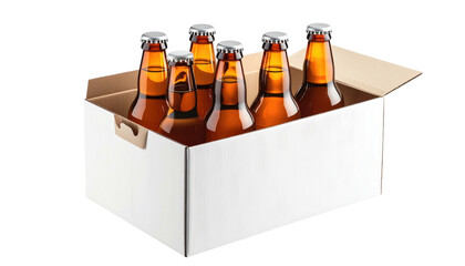 Six brown glass bottles with silver caps in a white cardboard container, casting subtle shadows on a solid background