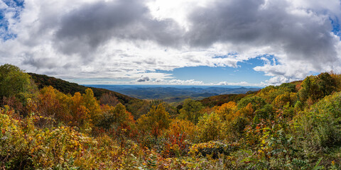 Obraz premium A panoramic view of the Blue Ridge Mountains from the Parkway during peak autumn color, with vibrant foliage stretching beneath dramatic skies.