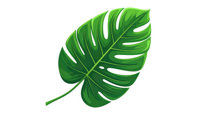 A vibrant, illustrated, lush green monstera leaf isolated on a solid black background, displaying prominent veins and cuts