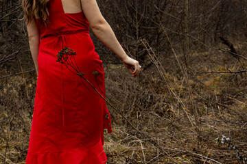 Red dress in November field, Dubrovitsky forest