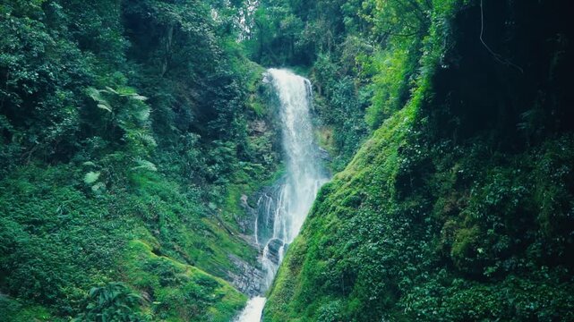 Waterfall Nyungwe National park Rwanda | Africa