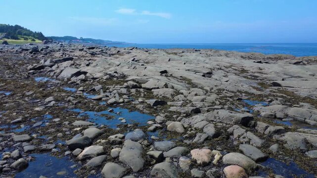 The rocky shore of the St. Lawrence River formed of sedimentary rocks from the Appalachians dotted with seaweed near the beach in the village of Sainte-F&eacute;licit&eacute;, Quebec, Canada.