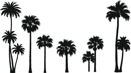 Palm tree silhouettes in a row cartoon illustration, symbolic tropical diversity and expressive botanical form artwork for landscape design