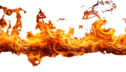 Orange and red flames flicker and dance, set against a stark black backdrop, illuminating the scene