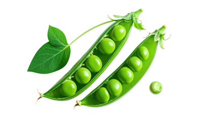 Two opened pea pods, filled with bright green peas, isolated on a dark background. A small leaf is nearby