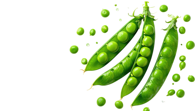 Three vibrant green pea pods, bursting with ripe peas, isolated on a stark black background, highlighted with scattered peas