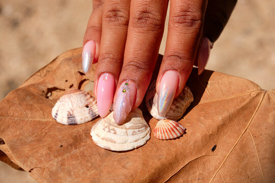 Female hand with pink nails on a dry leaf and seashells