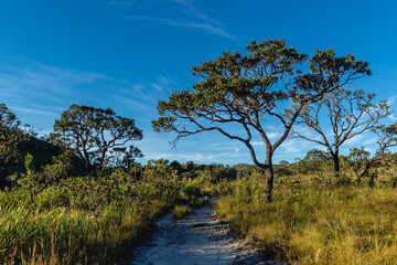 Trilha na cidade de Paran&atilde;, Estado de Tocantins, regi&atilde;o das Serras Gerais, Brasil