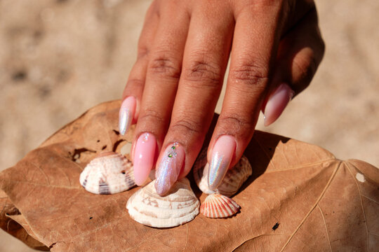Female hand with pink nails on a dry leaf and seashells