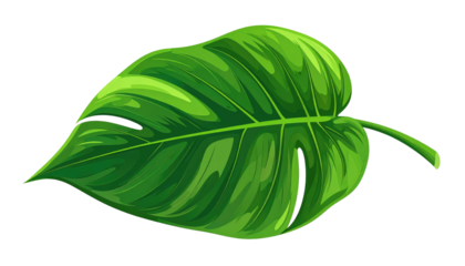Glossy, vibrant green leaf illustration with detailed veins on a black background, angled slightly to the right