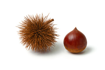 栗とイガ