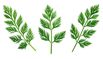 Three vibrant green, intricately detailed fern-like sprigs isolated against a stark black background