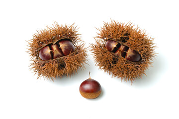 栗入りイガ２個と栗