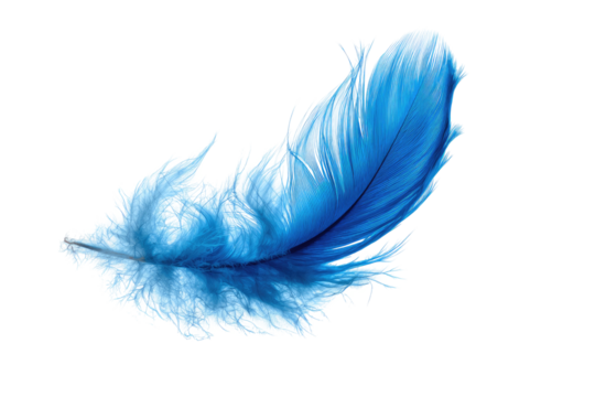 A vibrant, light blue feather floats against a stark black background, showcasing intricate textures and delicate barbs