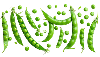 Green pea pods and loose peas, isolated on black, arranged in a central band, offering a fresh, vibrant visual