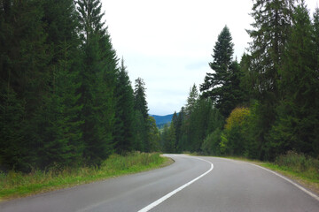 Naklejka premium Beautiful view of green trees and asphalt road in mountains