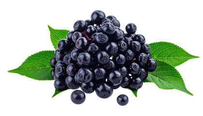 A cluster of dark purple elderberries with vibrant green leaves against a stark black background