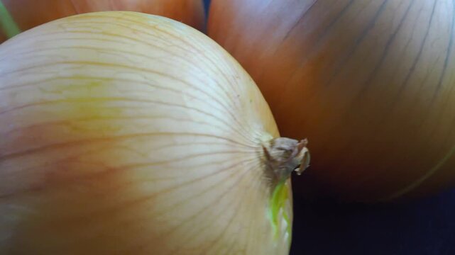 fresh onions on a wooden background