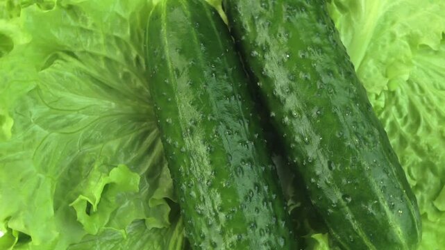 lettuce and cucumbers on a rotating background