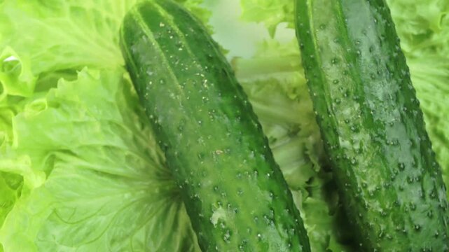 lettuce and cucumbers on a rotating background