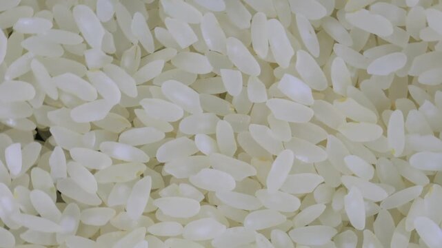 grains of rice on a rotating background.