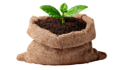 New Life's Embrace: A vibrant young sprout emerges from the rich, dark soil within a rustic burlap sack, symbolizing growth, renewal, and the nurturing power of nature.