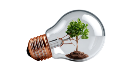 Eco-Friendly Illumination: A thought-provoking composition showcasing a light bulb with a young tree growing inside, symbolizes sustainable energy and the harmonious blend of nature and innovation.