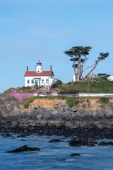 Lighthouse in Crescent City California with flower in bloom