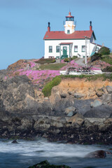 Lighthouse in Crescent City California with flower in bloom