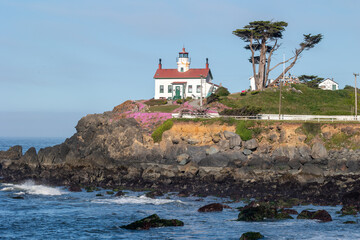 Lighthouse in Crescent City California with flower in bloom