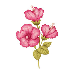 Flower Embroidery Stitch Art Design transparent background
