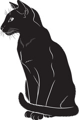 Elegant black cat silhouette sitting gracefully looking sideways full body profile pet animal companion domestic feline