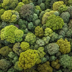 Aerial View of Dense Green Forest with Varied Foliage Patterns