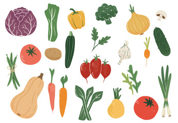 Vector vegetables collection isolated on white background