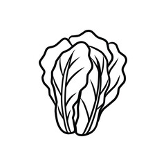 Leafy Green Vegetable Outline Icon. Simple Vector Line Art of Lettuce