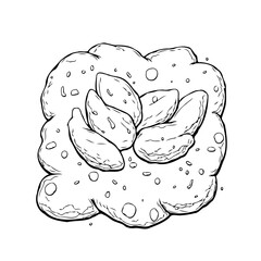 Delicate outline drawing showcasing a floral shape with central almond petals and dotted borders