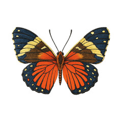 Butterfly Patch Embroidery Design with transparent background