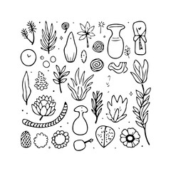 Doodle botanical elements in vector format showcasing a harmonious combination of natural motifs