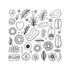 Doodle floral assortment hand drawn style showcasing nature inspired elements for creative design