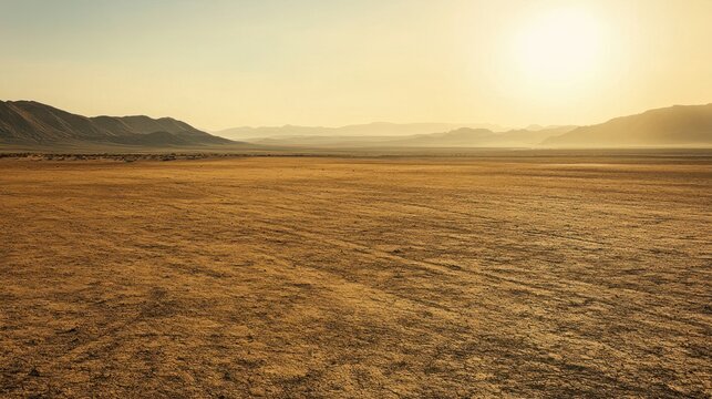 Vast, sun-drenched desert expanse