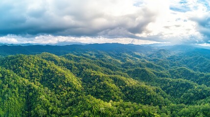 Lush Mountain Range Aerial View