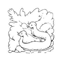 Illustration of serene waterfowl resting in tranquil surroundings with clean lines offering a