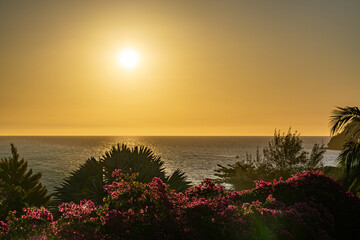 Sunset to the sea beyond the bougainvillea