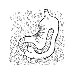 Stylized human stomach anatomy artwork, digestive system illustration showcasing internal organs