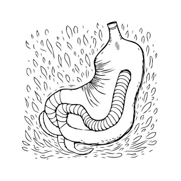 Stylized human stomach anatomy artwork, digestive system illustration showcasing internal organs