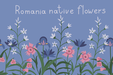 Native flowers of Romania vector illustration