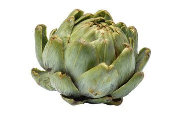 Obraz premium Single green artichoke vegetable isolated on black background studio shot food fresh, Isolated On Transparent Background, Png Cut Out