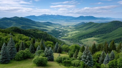 Obraz premium Lush Mountain Valley Landscape With Evergreen Forest In Foreground Under Blue Cloudy Sky On A Sunny Day